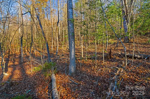 Asheville, NC 28803,99999 Willow Creek DR