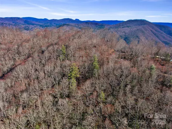 Spruce Pine, NC 28777,Lot #7 Queens WAY