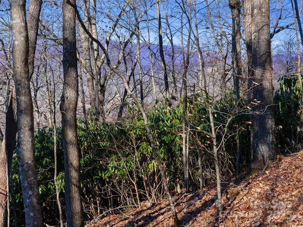 Spruce Pine, NC 28777,Lot #7 Queens WAY