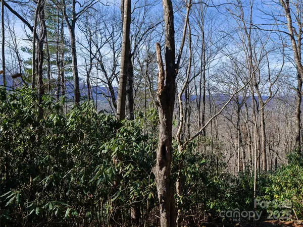 Spruce Pine, NC 28777,Lot #7 Queens WAY