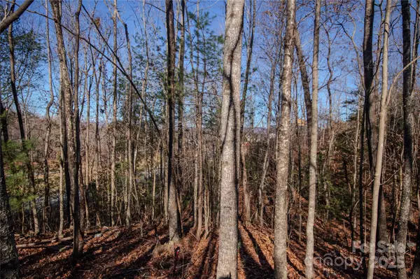 Lenoir, NC 28645,401 Huntington Woods ST SE #28