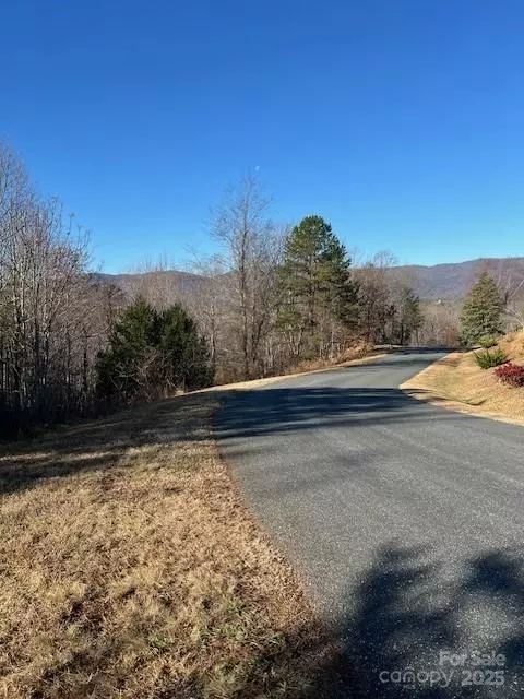 Mill Spring, NC 28756,Lot #28 Lake Adger Pkwy #28