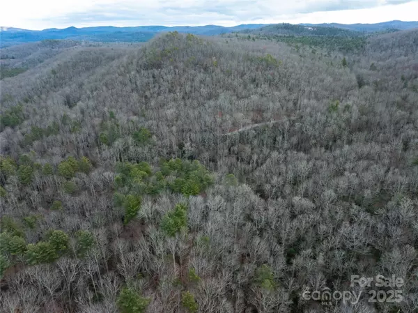 Cedar Mountain, NC 28718,999 Cascade Lake RD