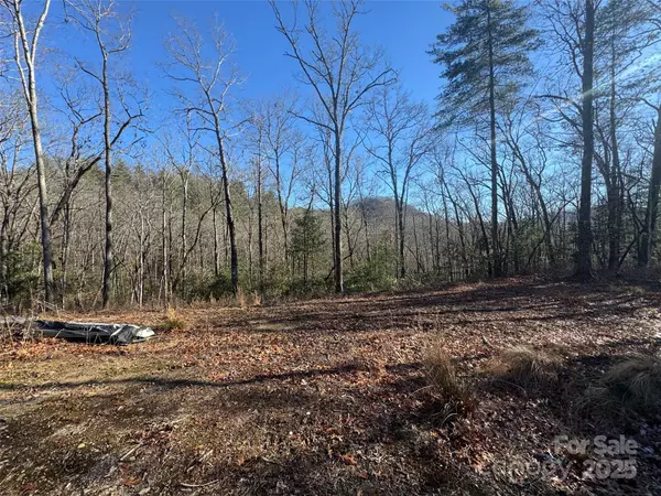 Brevard, NC 28712,999 Laurel Thicket LN