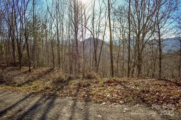 Bryson City, NC 28713,10 Ridge PL #10