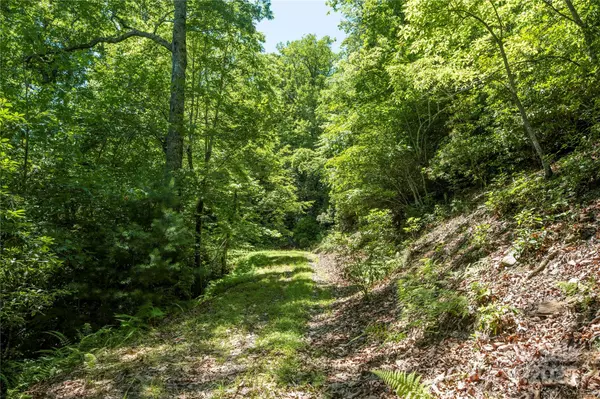 Mills River, NC 28759,TBD Alpen Rose WAY