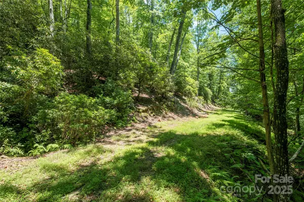 Mills River, NC 28759,TBD Alpen Rose WAY