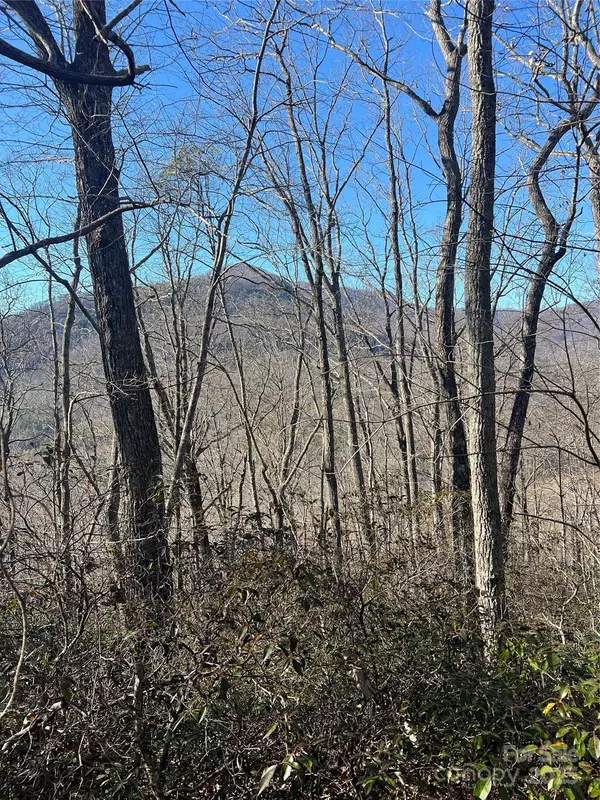 Lake Lure, NC 28746,Lot 42 Hawks Nest TRL