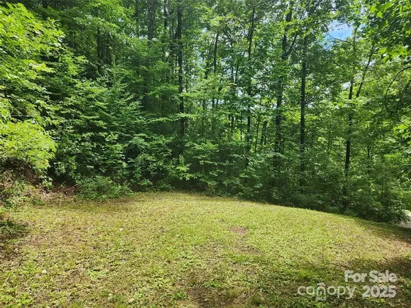 Sylva, NC 28779,9 Red Leafe TRL