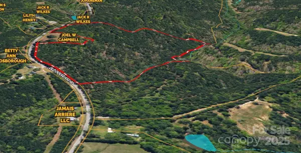 Blackstock, SC 29014,0000 Old Douglass RD #2