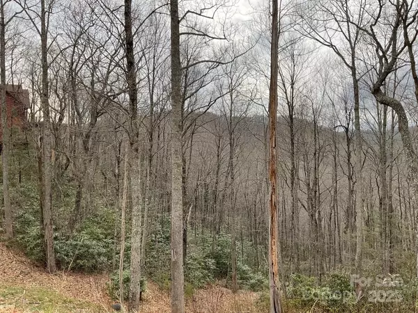 Boone, NC 28607,Lot 32 South Creek DR