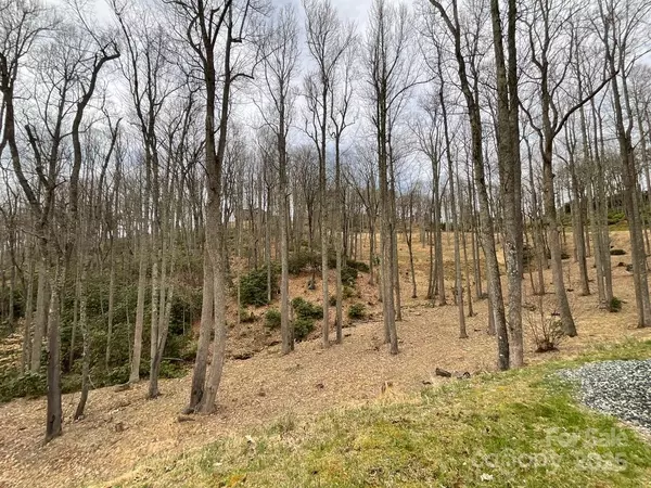 Boone, NC 28607,Lot 32 South Creek DR