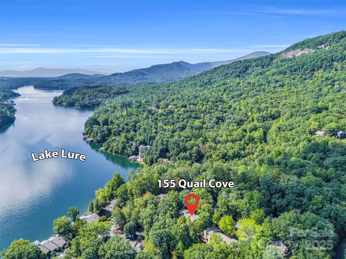 Lake Lure, NC 28746,155 Quail Cove BLVD #1615