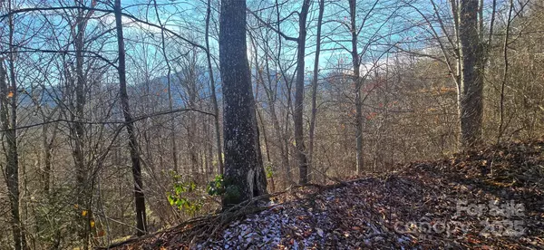 Waynesville, NC 28785,Lot 23 Asa TRL