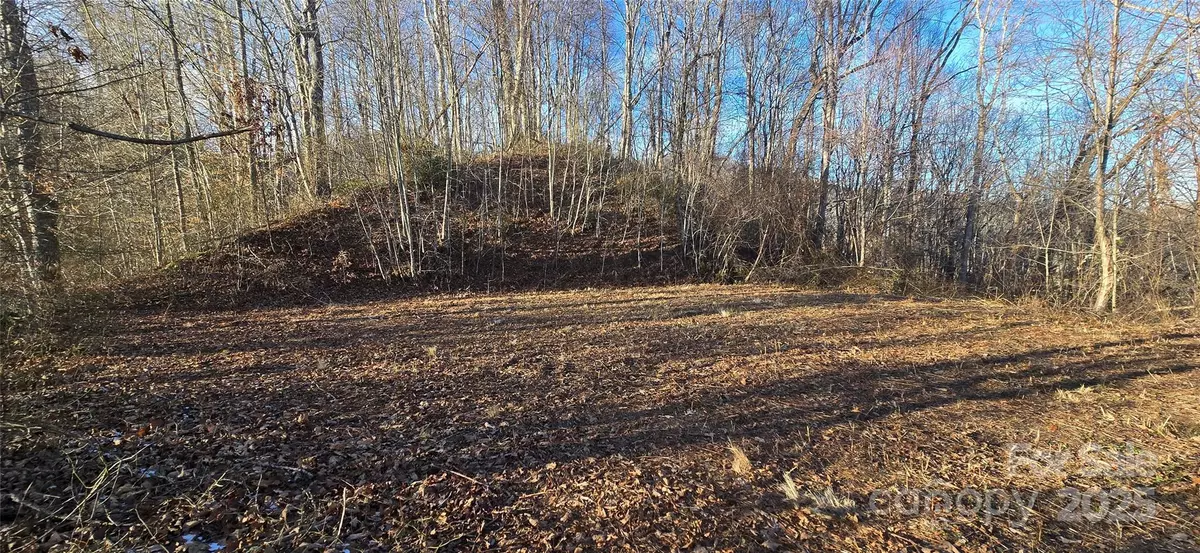 Waynesville, NC 28785,Lot 23 Asa TRL