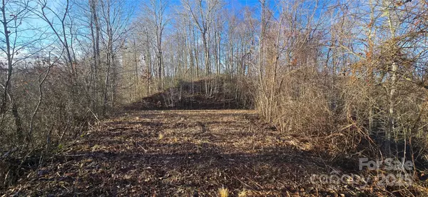 Waynesville, NC 28785,Lot 23 Asa TRL