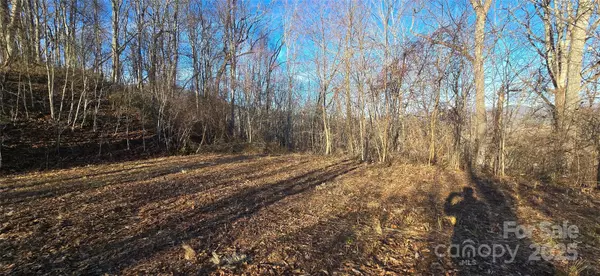 Waynesville, NC 28785,Lot 23 Asa TRL