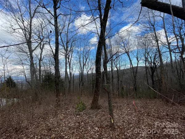 Flat Rock, NC 28731,108 Fawncrest CT #51 - R
