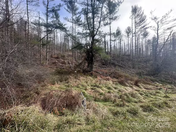 Bakersville, NC 28705,99999 White Pine LN