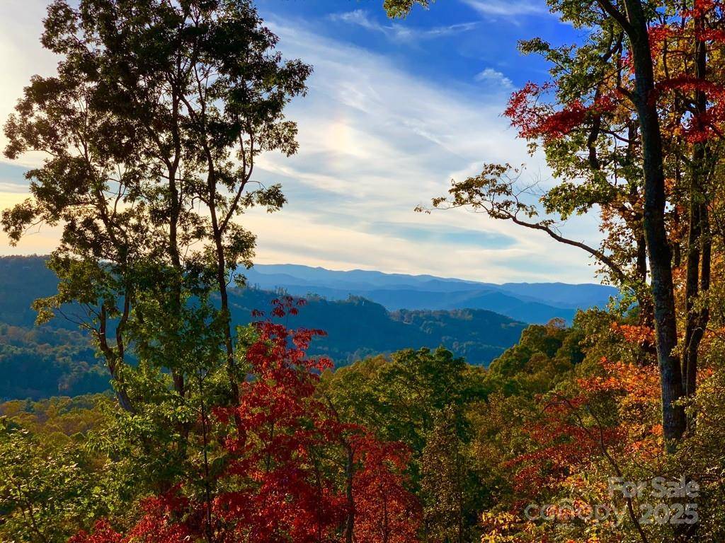 Hendersonville, NC 28791,00 Marble Heights TRL #e11