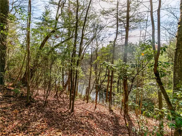 Lake Toxaway, NC 28747,S10 Indian Lake RD #L2