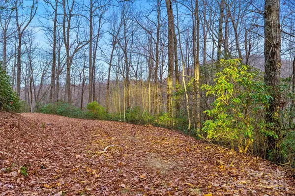 Black Mountain, NC 28711,Lot 4 Council Bluff TRL