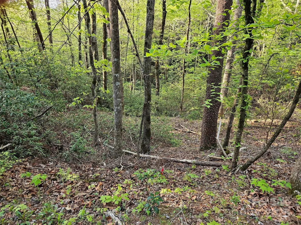 Lake Lure, NC 28746,0 Huntington RD #54
