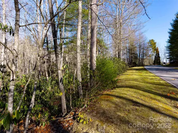 Hendersonville, NC 28739,000 Chattooga RUN #306