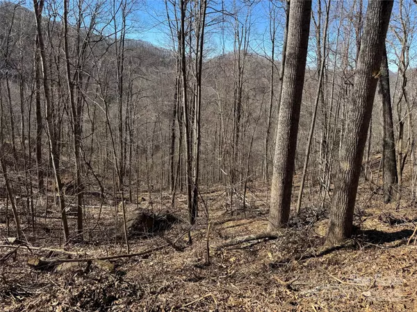 Burnsville, NC 28714,Lot 25 Andrew Banks RD