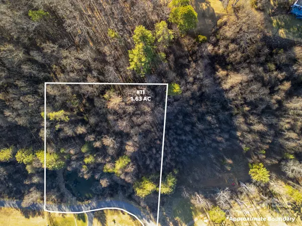 Mars Hill, NC 28754,175 Blackberry Cove DR #11