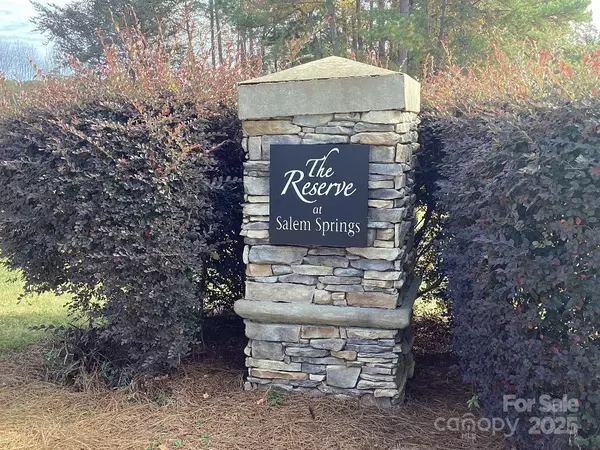 Denver, NC 28037,LOT 72.73 Sally Clark DR
