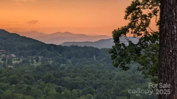 Hendersonville, NC 28739,356 High Road Overlook Overlook