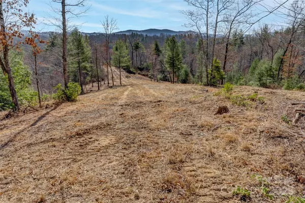 Lot 3 Walnut Hollow RD, Brevard, NC 28712