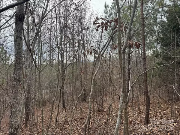 Mill Spring, NC 28756,00 Stonecrest Pkwy