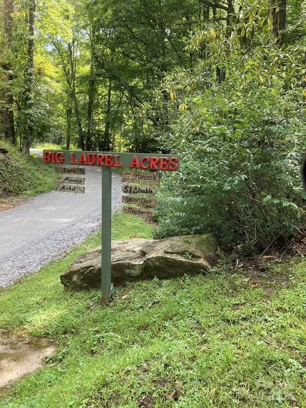 Whittier, NC 28789,0 Laurel DR #Lot 9