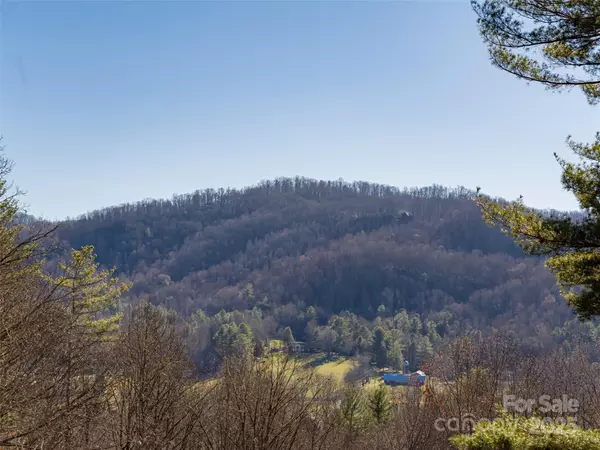 Fairview, NC 28730,15 Breckenridge DR