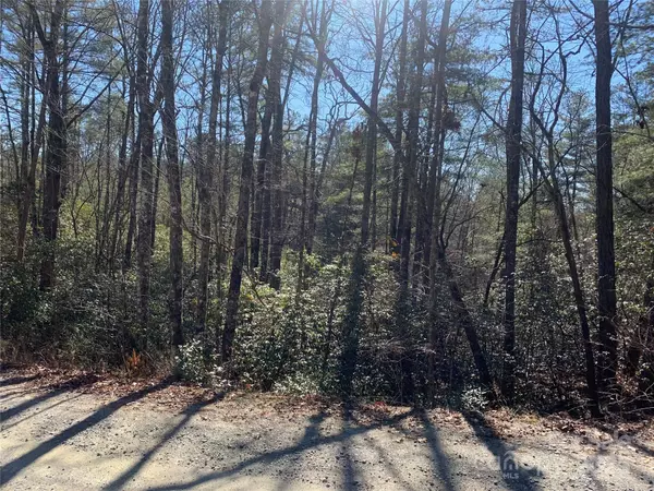 Brevard, NC 28712,TBD Oak Laurel RD #9