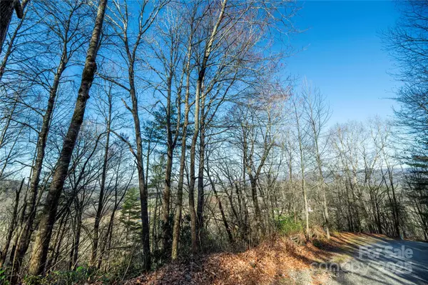 Pisgah Forest, NC 28768,TBD Three Mile Knob RD #L1/L2/L3