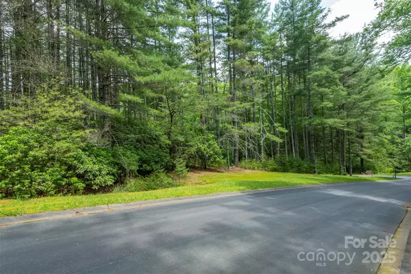 Horse Shoe, NC 28742,99999 Caddis LN #95