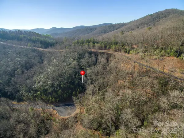 Horse Shoe, NC 28742,9999 Mayfly LN #106