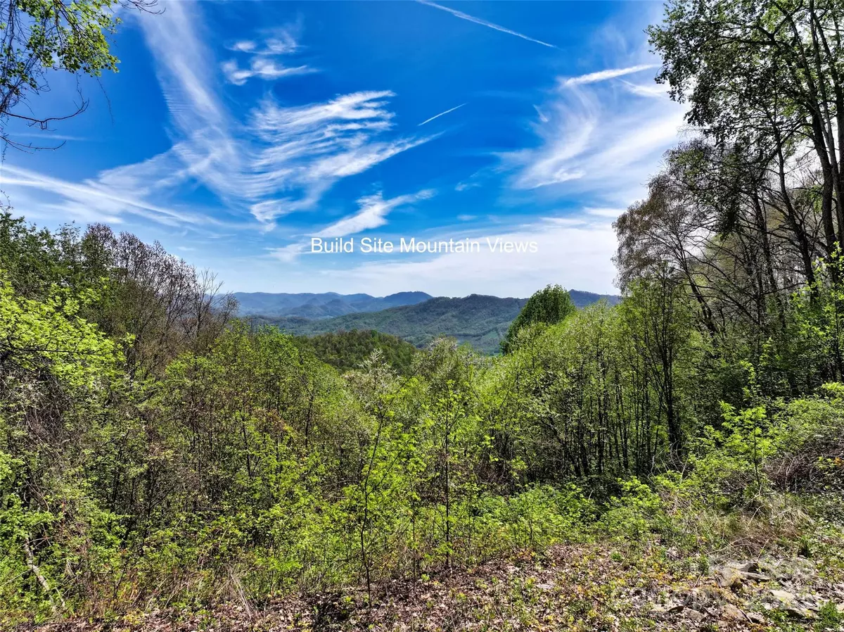 Waynesville, NC 28785,9999 Divit RD #45