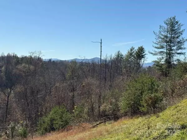 TBD Big Rocky Top DR, Weaverville, NC 28787