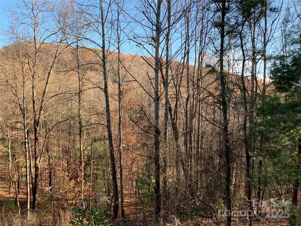 TBD (Lot 4) Wolf Den LN, Lenoir, NC 28645