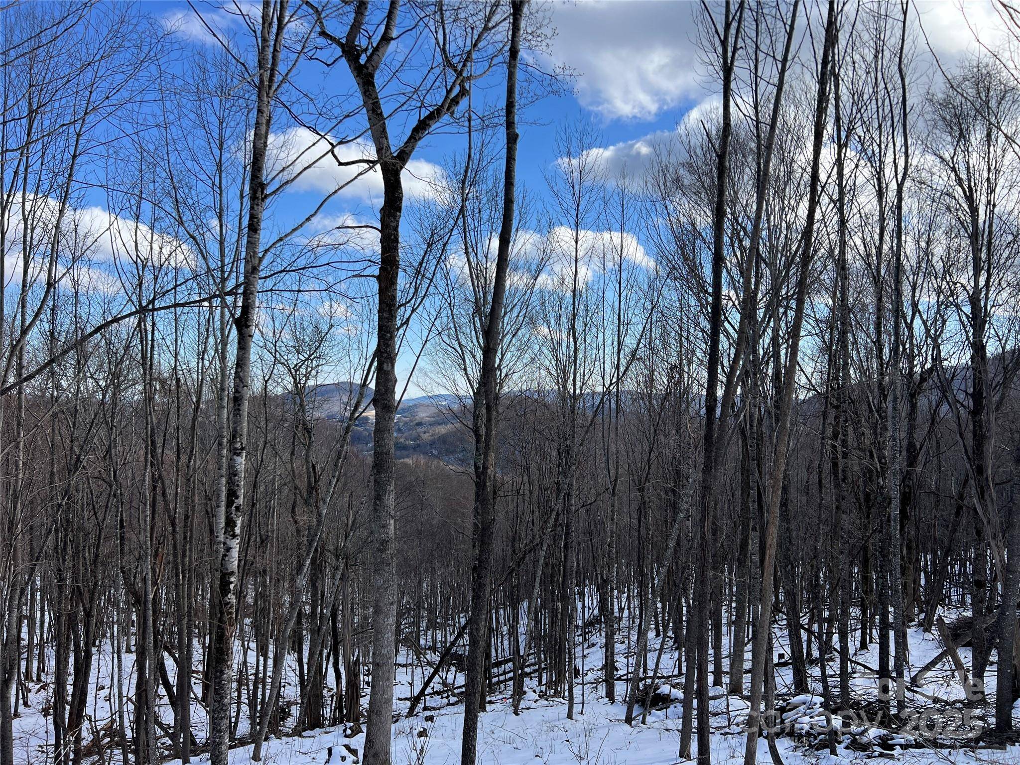 TBD (Lot 69) Poplar Forest DR, Boone, NC 28607