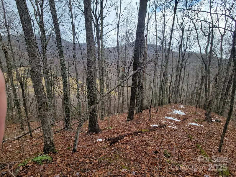 820 Chestnut Flats LN #4, Waynesville, NC 28786
