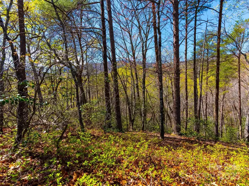 107 Deep Gap RD E, Mill Spring, NC 28756