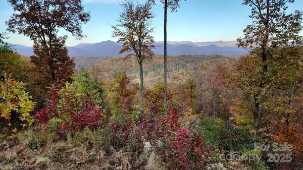 Sylva, NC 28779,0 Mountain Forest Estates RD