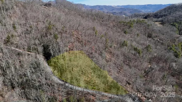 Lot 11 Bernies TRL, Waynesville, NC 28785