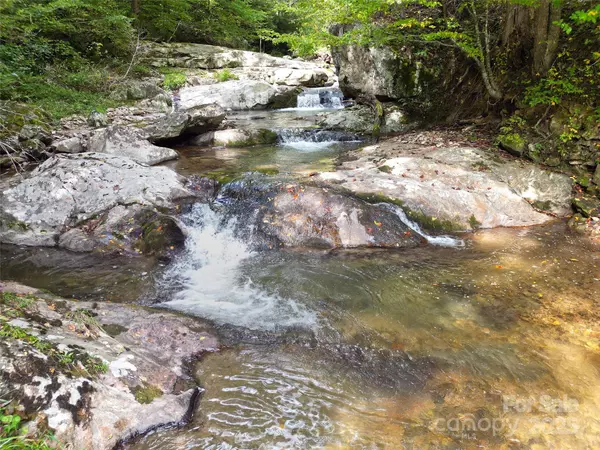 Marshall, NC 28753,7385 Big Pine RD