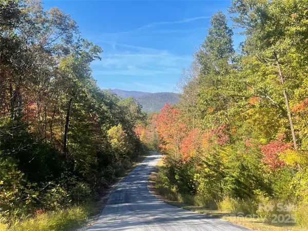 Marion, NC 28752,lot 46 Bald Eagle LN #46